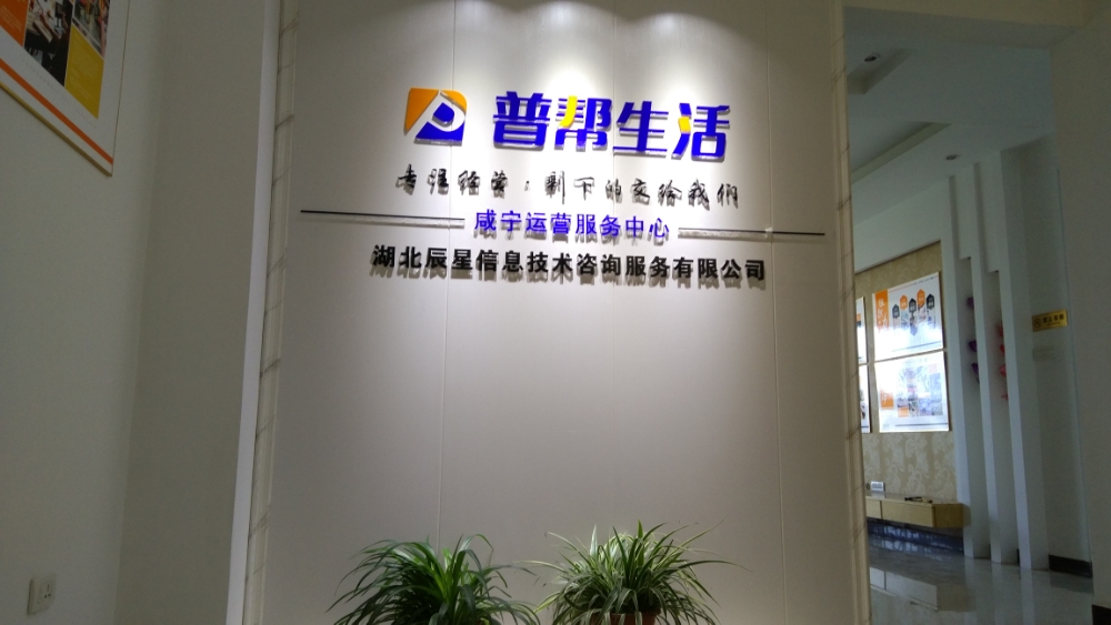 湖北辰星信息技術咨詢服務 咸寧地區的地圖與信息技術解決方案專家